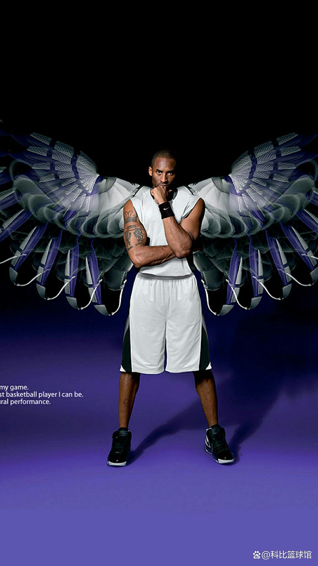 这一特点与 这一特点与